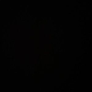 Meet your Posher, Lele